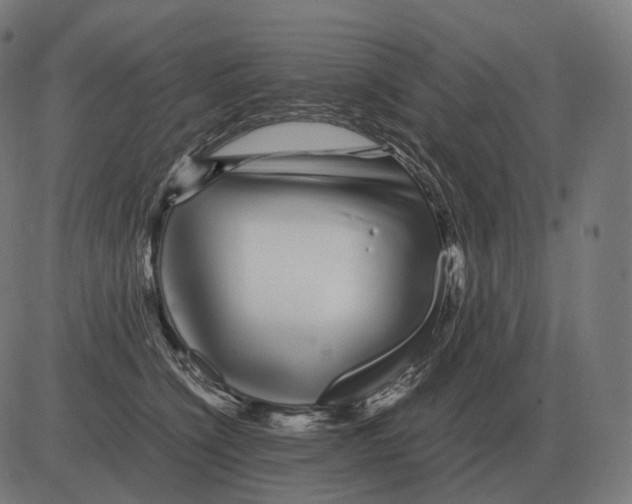 X0000081490564200702100033