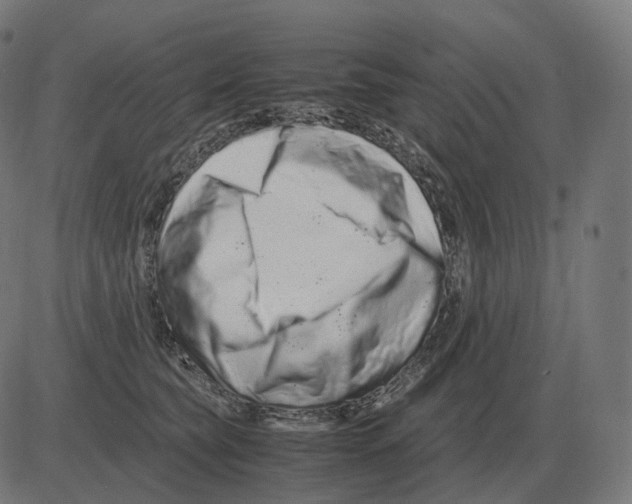 X0000081490565200702100033