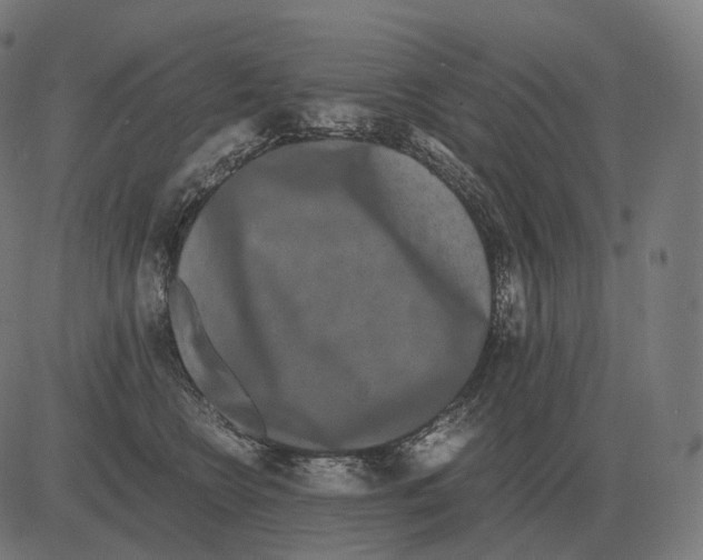 X0000081490566200702100033