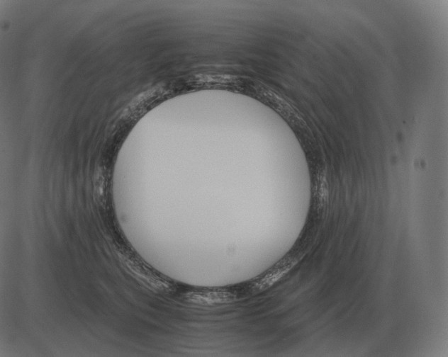 X0000081490567200702100033