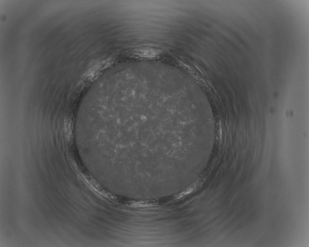 X0000081490568200702100033