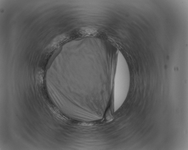 X0000081490570200702100033