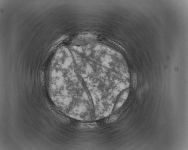 X0000081490571200702100033