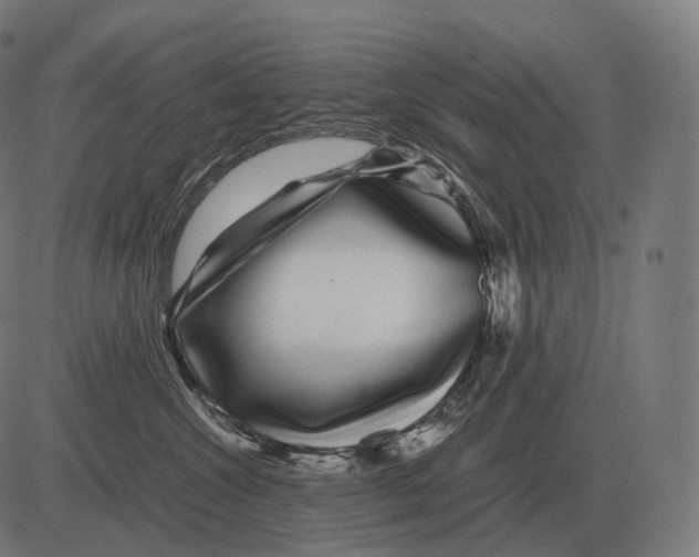 X0000081490572200702100033