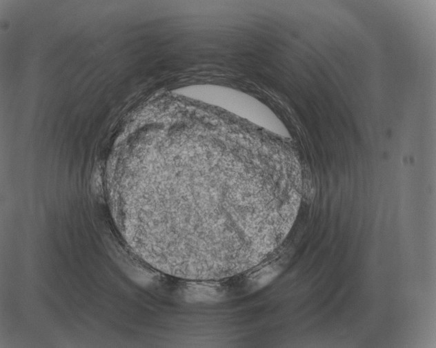 X0000081490573200702100033