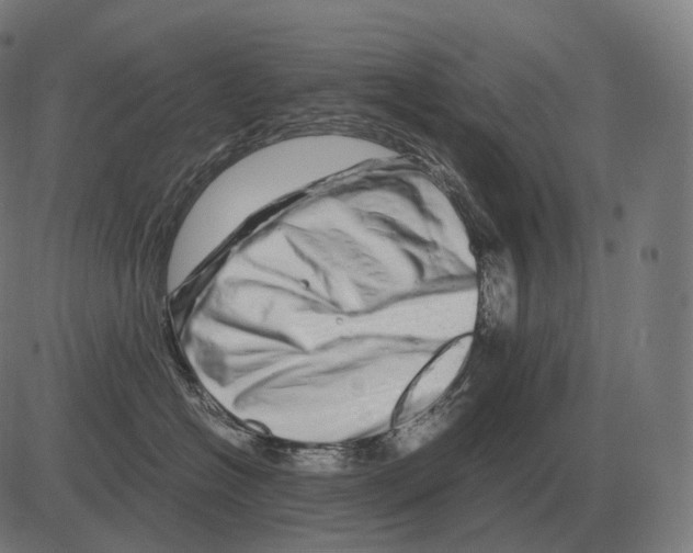 X0000081490574200702100033