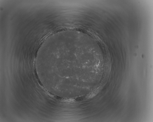 X0000081490576200702100033