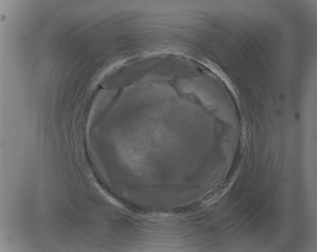 X0000081490577200702100032