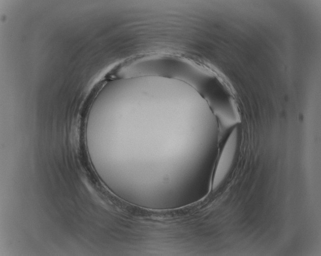 X0000081490580200702100032