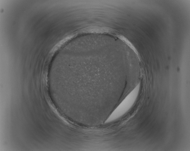 X0000081490581200702100032