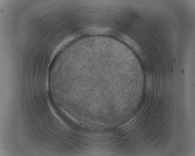 X0000081490582200702100032