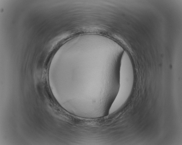 X0000081490583200702100032