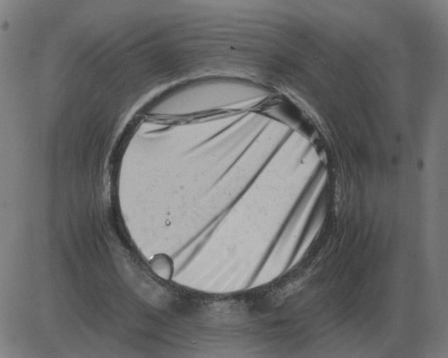 X0000081490584200702100032