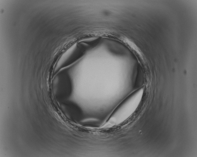 X0000081490585200702100032