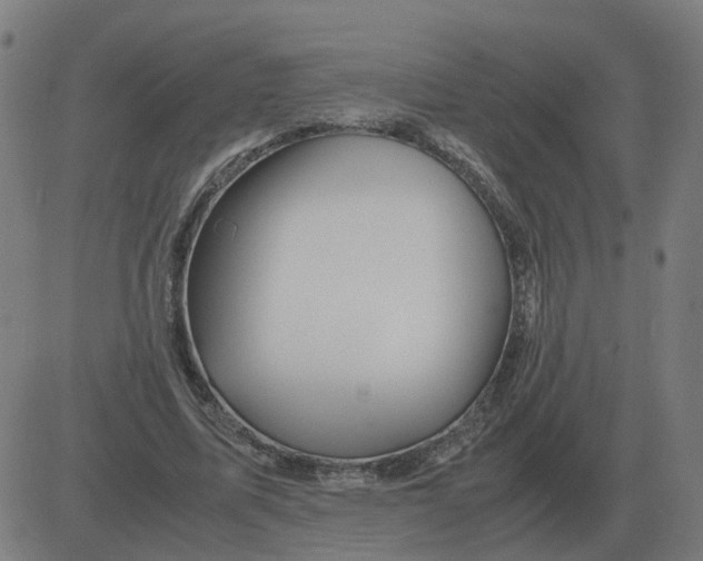 X0000081490587200702100032