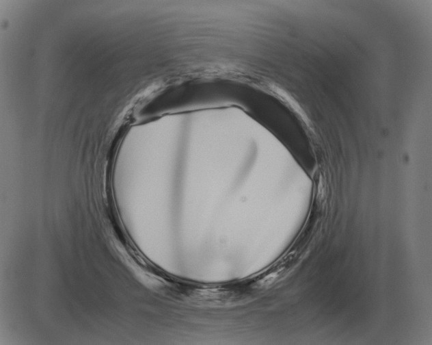 X0000081490589200702100032