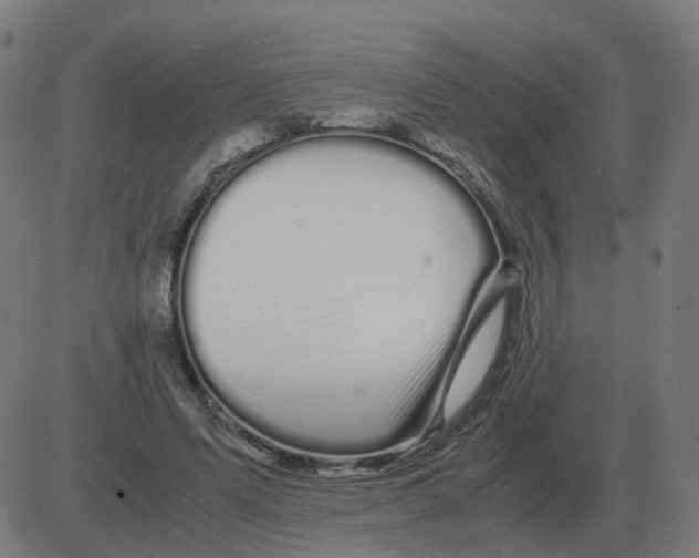 X0000081490591200702100032