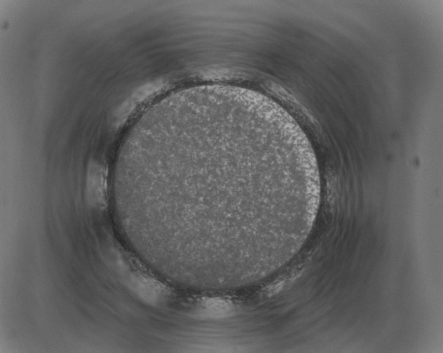 X0000081490592200702100032