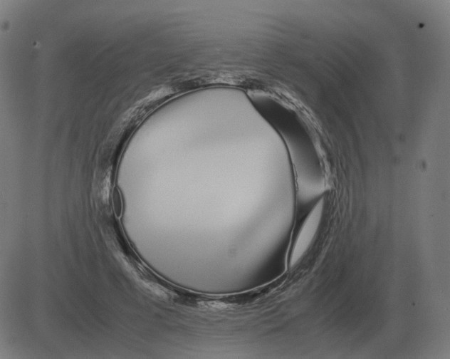 X0000081490593200702100032