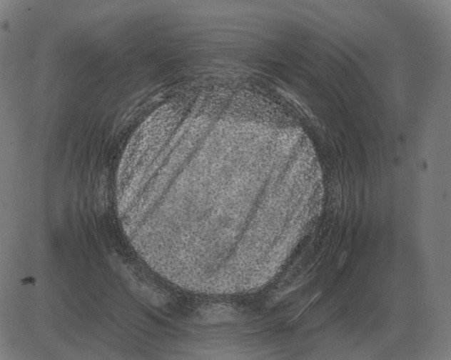 X0000081490594200702100032