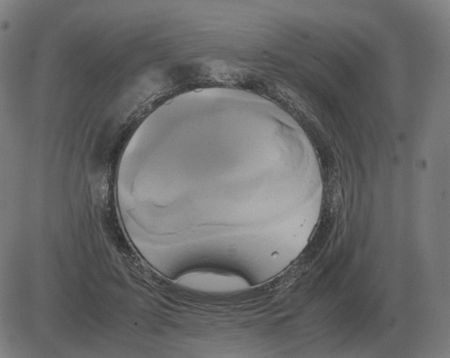 X0000081490595200702100032