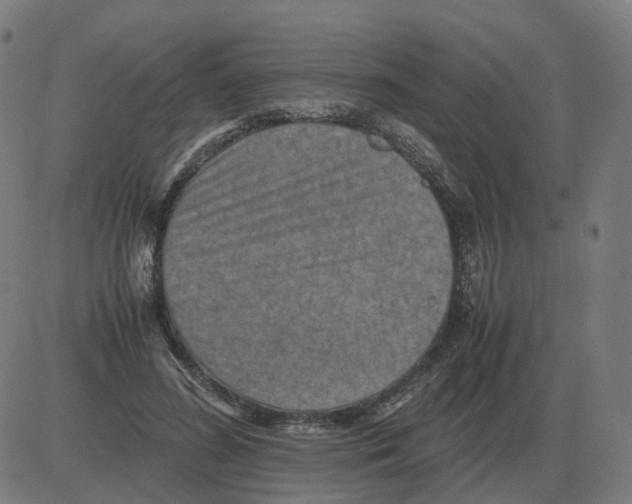 X0000081490596200702100032