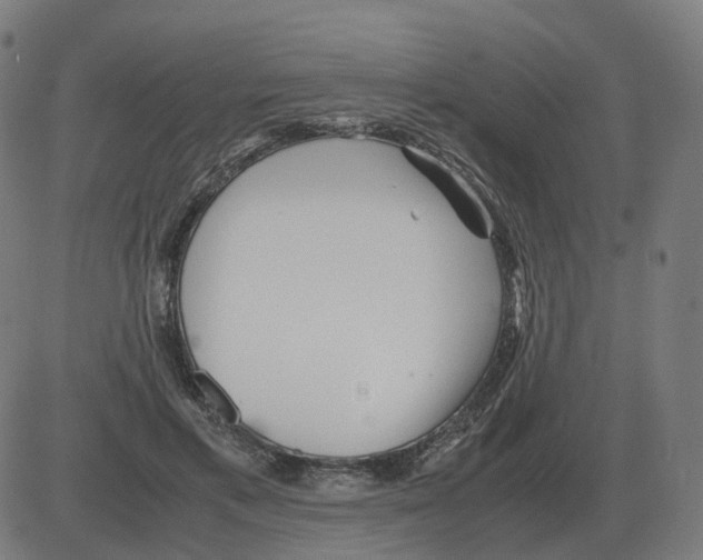 X0000081490597200702100032