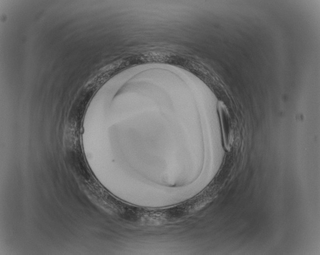 X0000081490599200702100032