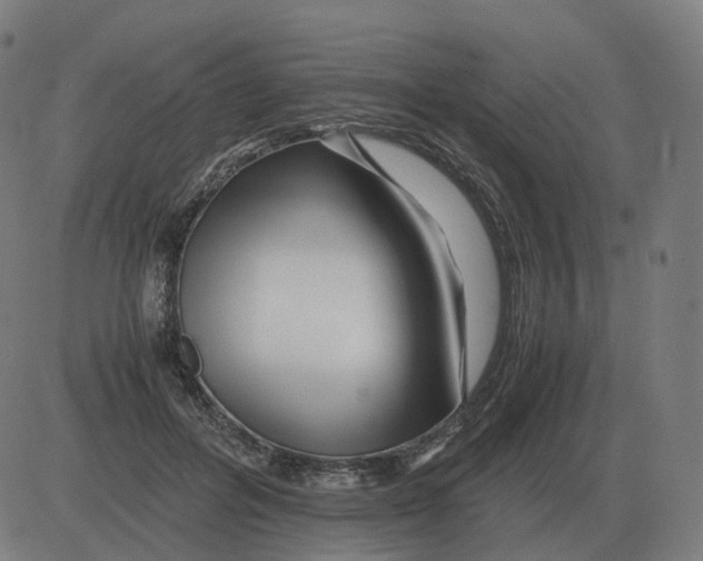 X0000081490600200702100032