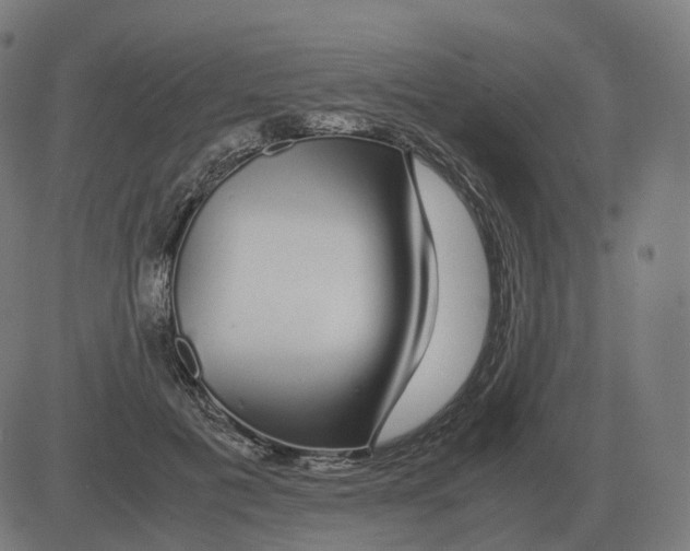 X0000081490601200702100032