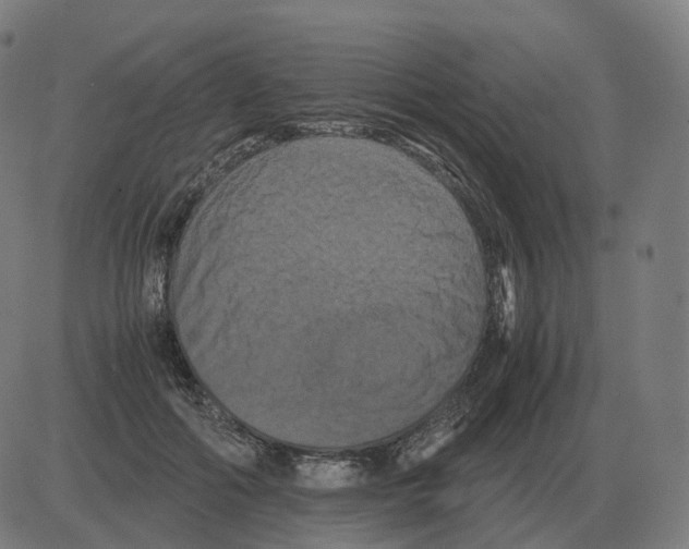 X0000081490602200702100032