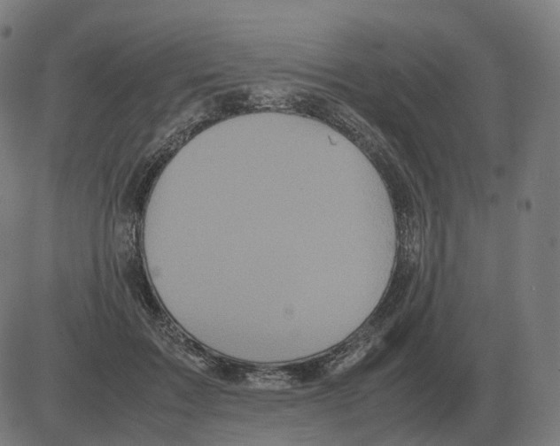 X0000081490603200702100032