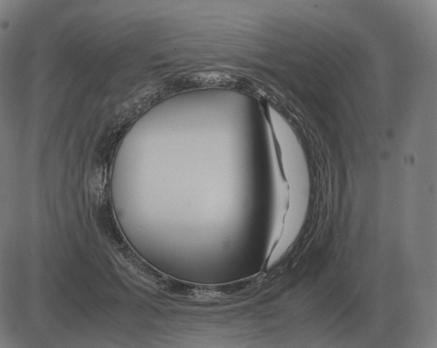 X0000081490605200702100032