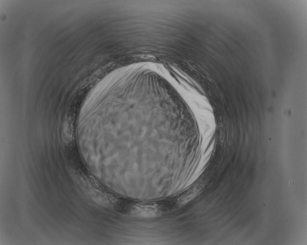 X0000081490606200702100032