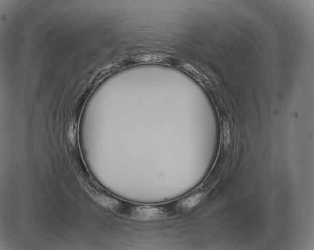 X0000081490607200702100032