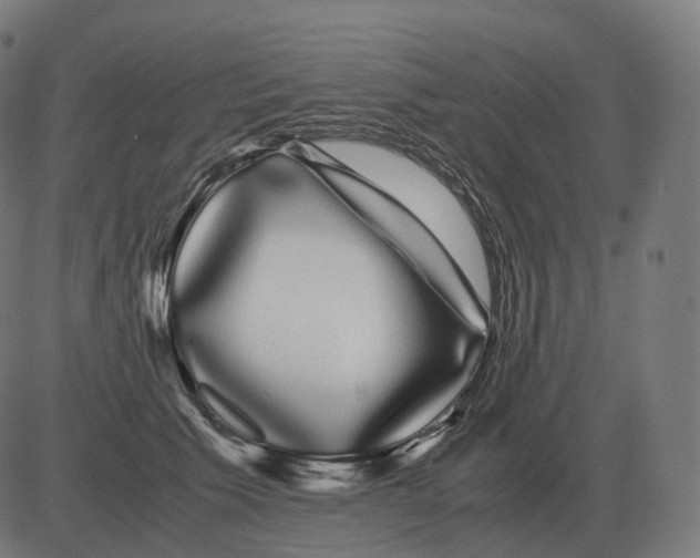 X0000081490609200702100032