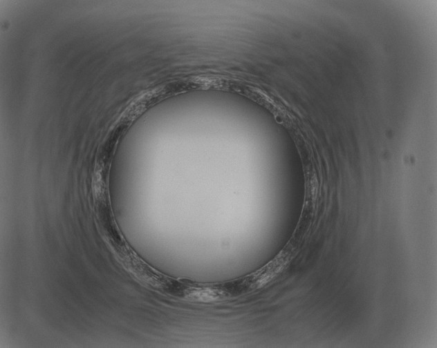 X0000081490611200702100032