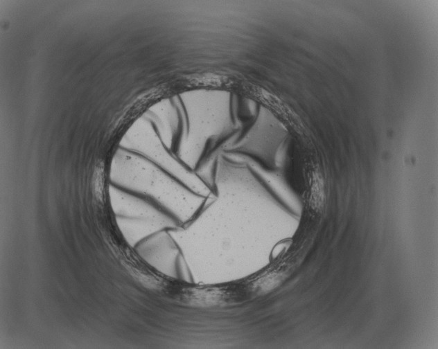 X0000081490612200702100032