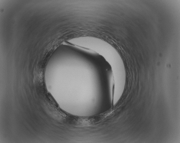 X0000081490613200702100032