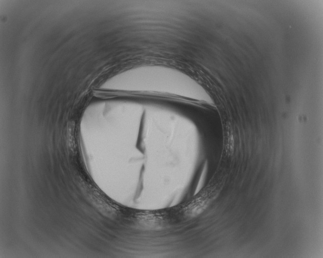 X0000081490616200702100032