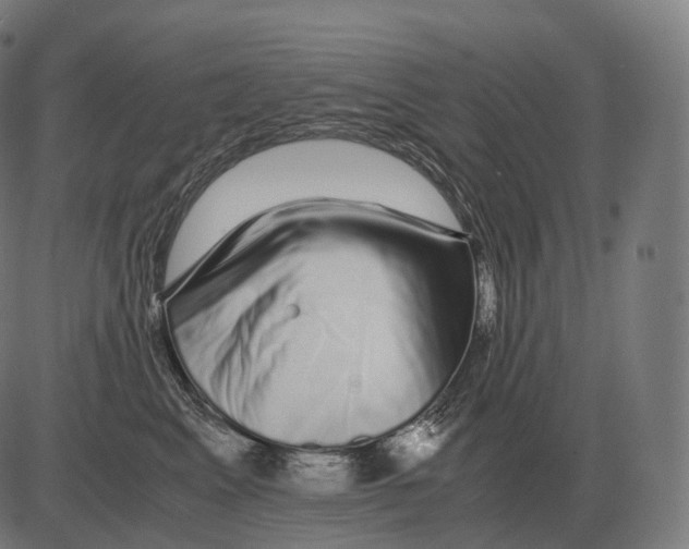 X0000081490617200702100032