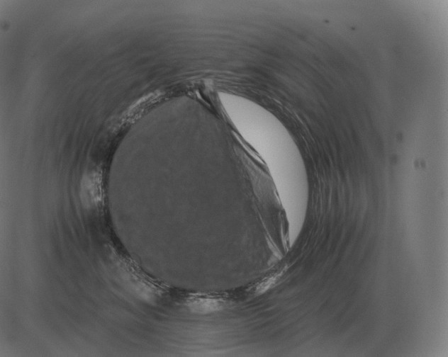 X0000081490620200702100031