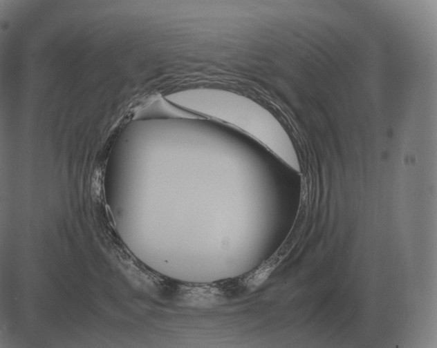 X0000081490621200702100031