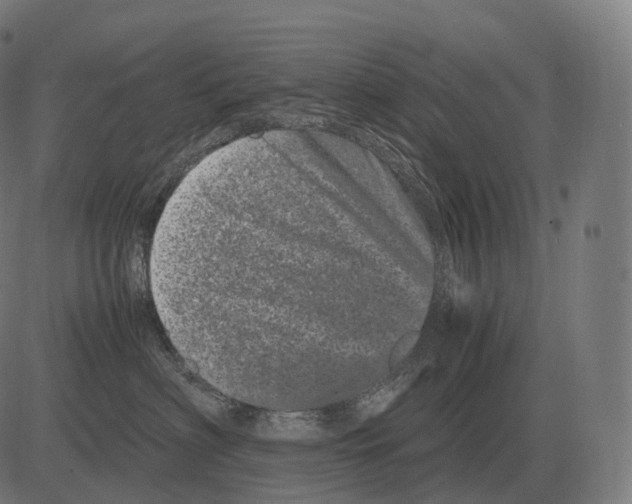 X0000081490622200702100031