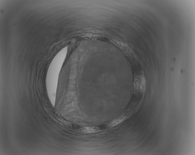 X0000081490623200702100031