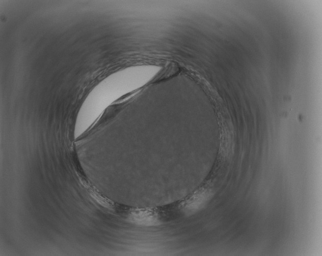 X0000081490624200702100031