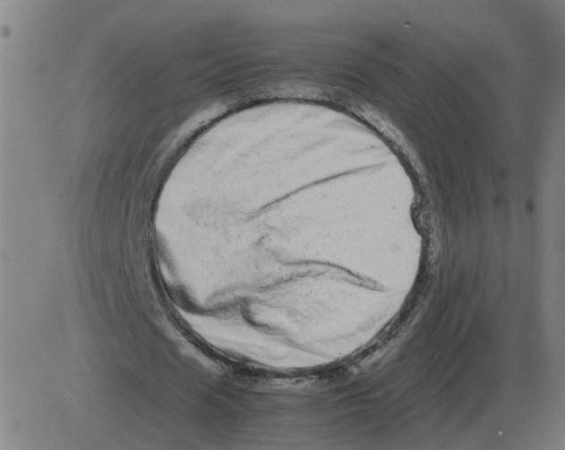 X0000081490625200702100031