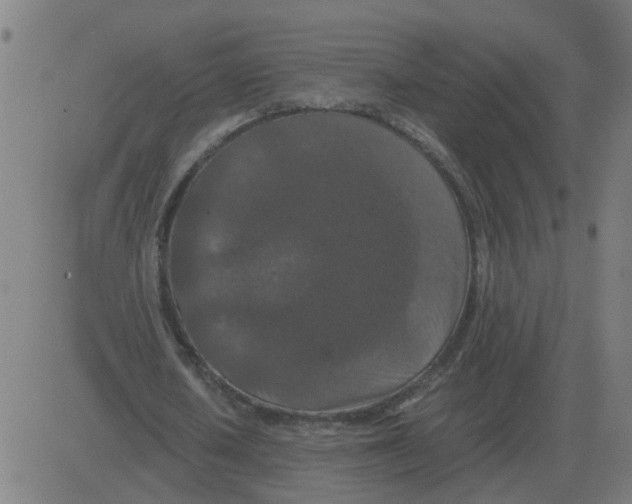 X0000081490626200702100031