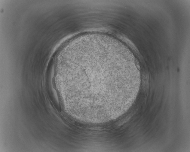 X0000081490628200702100031