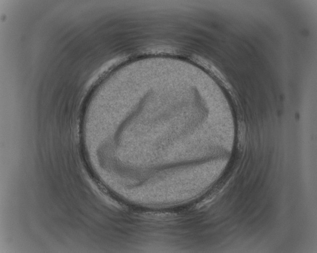 X0000081490629200702100031